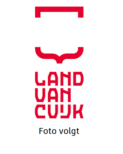 Pasfoto van Mike van Diemen