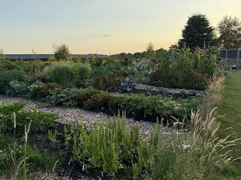 Foto van een moestuin
