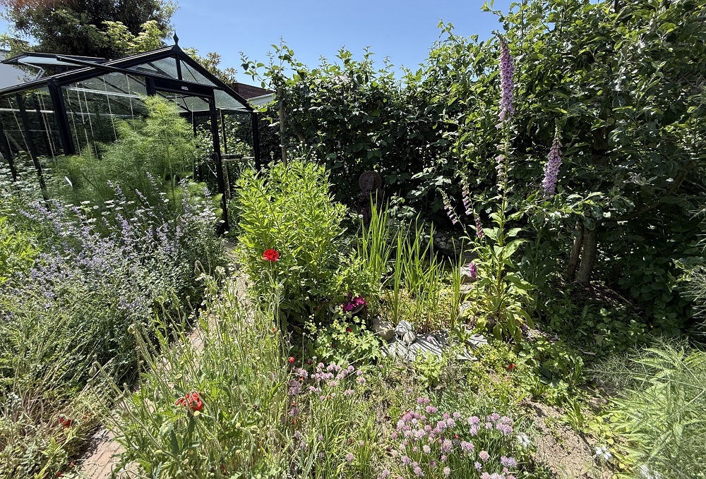 Op de afbeelding de mooie groene tuin van Christ vol met inheemse bloemen en planten