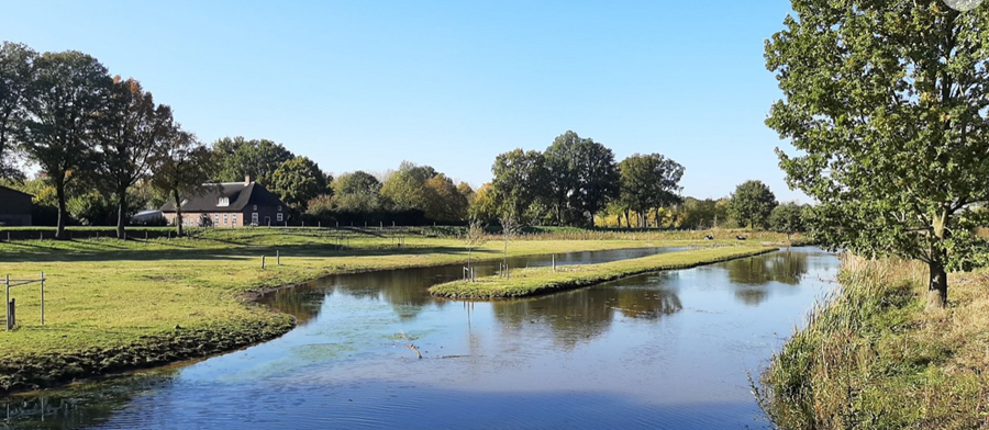 Voorbeeld ontwikkeling natte natuur